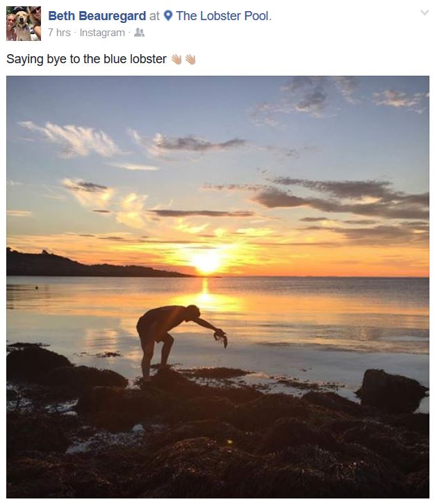 bluethebluelobsterreturnshome