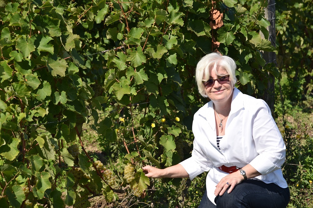 Kathleen_with_Chenin_vines_in_France_web_size.jpg